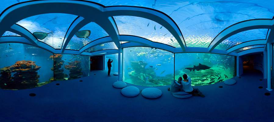 Palma aquarium actividades familia mallorca cas saboners palmanova aparthotel playas ca's saboners Palma aquarium actividades familia mallorca cas saboners palmanova aparthotel playas ca's saboners