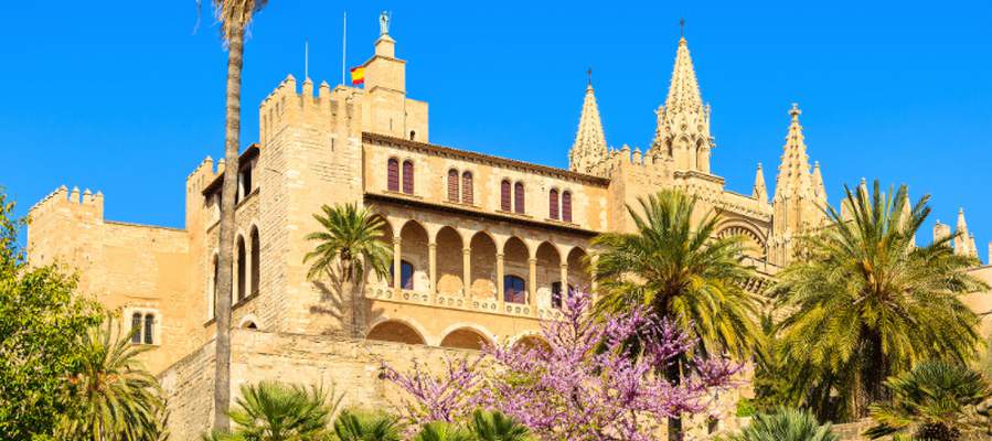 Turismo en palma - dónde ir Aparthotel Playas Ca's Saboners Palmanova Turismo en palma - dónde ir Aparthotel Playas Ca's Saboners Palmanova