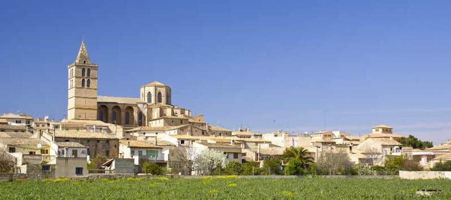 Mercados en mallorca – tradición y productos locales Aparthotel Playas Ca's Saboners Palmanova Mercados en mallorca – tradición y productos locales Aparthotel Playas Ca's Saboners Palmanova
