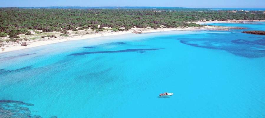 Las mejores playas para niños en mallorca Aparthotel Playas Ca's Saboners Palmanova