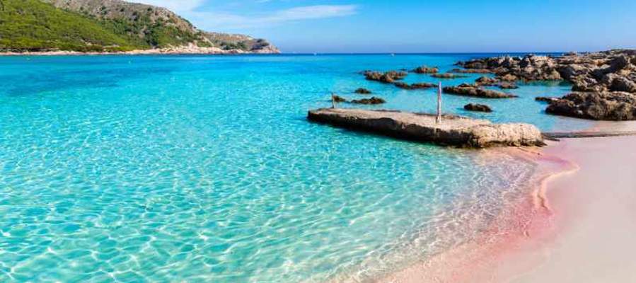 Primavera: ¡la mejor época del año para visitar mallorca! Aparthotel Playas Ca's Saboners Palmanova Primavera: ¡la mejor época del año para visitar mallorca! Aparthotel Playas Ca's Saboners Palmanova