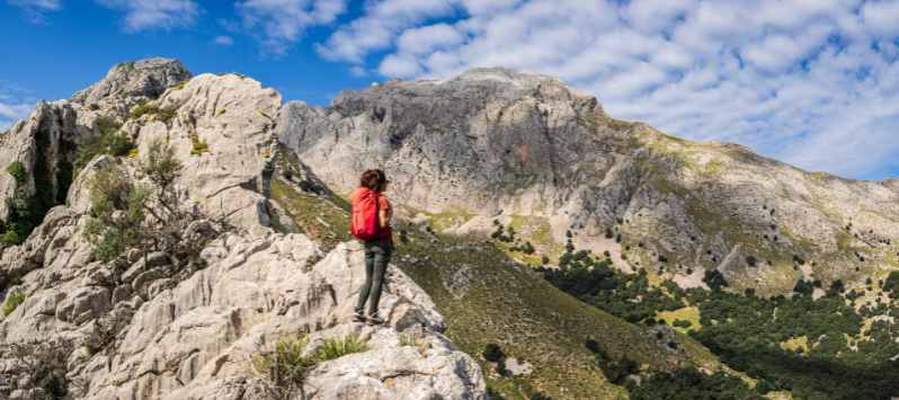 Descubrir mallorca en invierno - actividades para parejas y familias Aparthotel Playas Ca's Saboners Palmanova Descubrir mallorca en invierno - actividades para parejas y familias Aparthotel Playas Ca's Saboners Palmanova