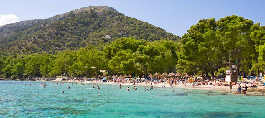 Descubre mallorca: playa de formentor Aparthotel Playas Ca's Saboners Palmanova