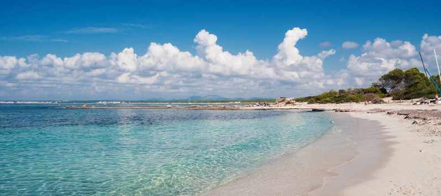 Día de playa - nuestras playas favoritas en mallorca Aparthotel Playas Ca's Saboners Palmanova Día de playa - nuestras playas favoritas en mallorca Aparthotel Playas Ca's Saboners Palmanova