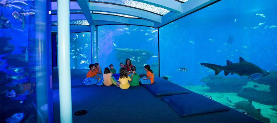Palma Aquarium Mallorca Cas Saboners primavera Aparthotel Playas Ca's Saboners Palmanova Palma Aquarium Mallorca Cas Saboners primavera Aparthotel Playas Ca's Saboners Palmanova