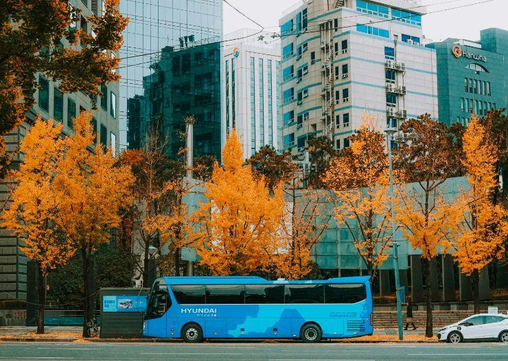 Transfer Aparthotel Playas Ca's Saboners Palmanova Transfer Aparthotel Playas Ca's Saboners Palmanova