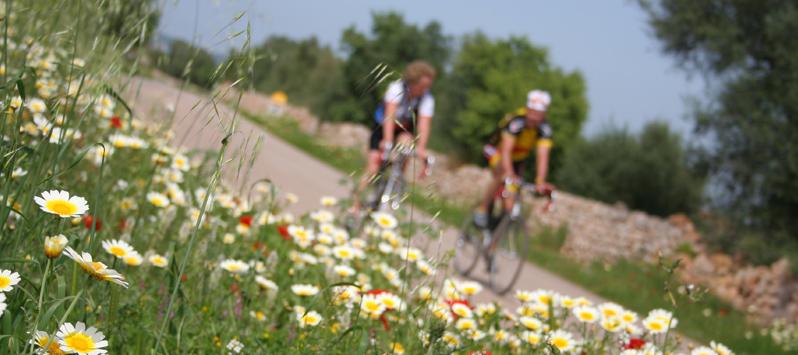 Mallorca: un paraíso para ciclistas Aparthotel Playas Ca's Saboners Palmanova Mallorca: un paraíso para ciclistas Aparthotel Playas Ca's Saboners Palmanova