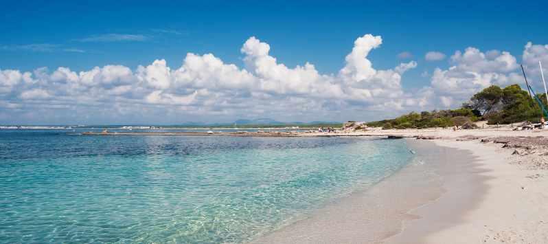 Día de playa - Nuestras playas favoritas en Mallorca Aparthotel Playas Ca's Saboners Palmanova Día de playa - Nuestras playas favoritas en Mallorca Aparthotel Playas Ca's Saboners Palmanova